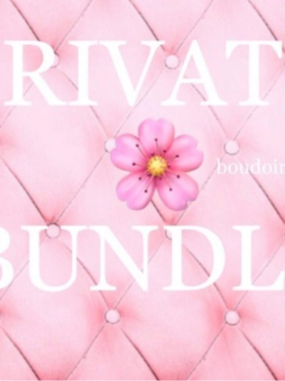 Private bundle for two Matilda shirts